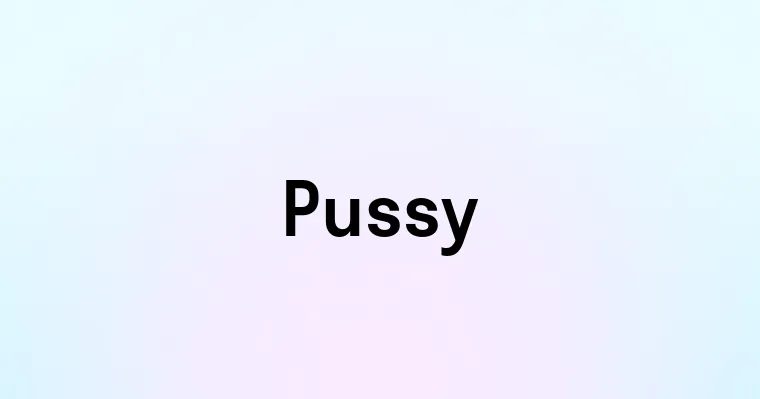 Pussy перевод транскрипция произношение и примеры