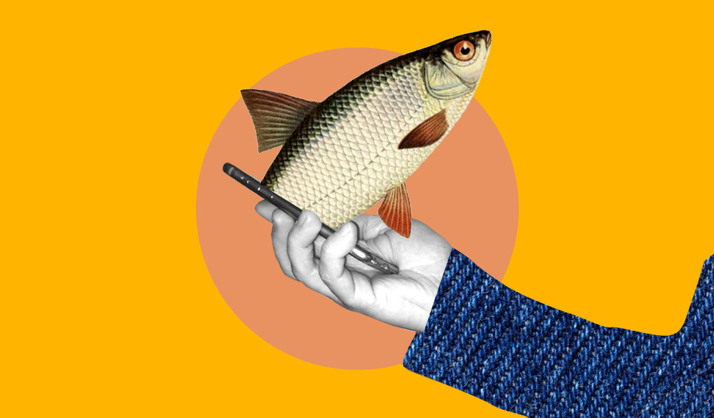 Интернет-рыбалка: как производные от слова fishing захватили соцсети