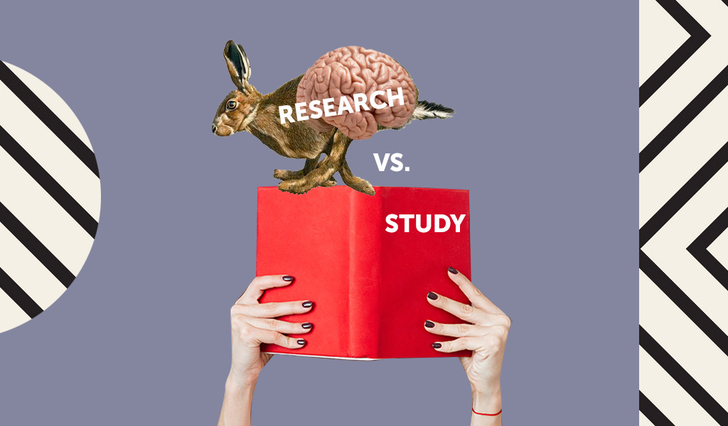Research или study? 14 слов из научно-популярной литературы, которые нельзя путать