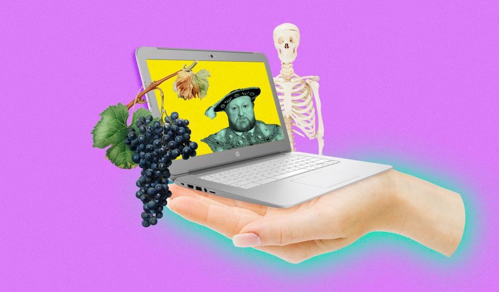 Вино, Star Trek и скелеты: самые необычные бесплатные курсы, которые есть в сети