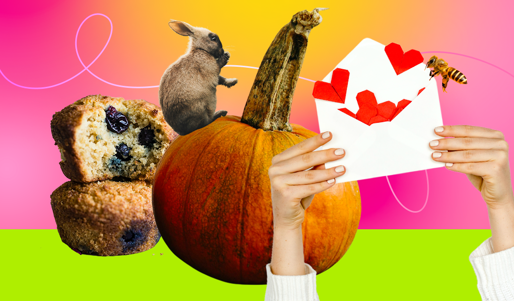 Love, bae, muffin: 20+ вариантов, как называть любимого человека на английском