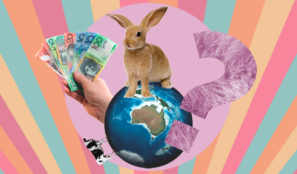 Тест: что вы знаете об Австралии? Там не только кенгуру и коалы