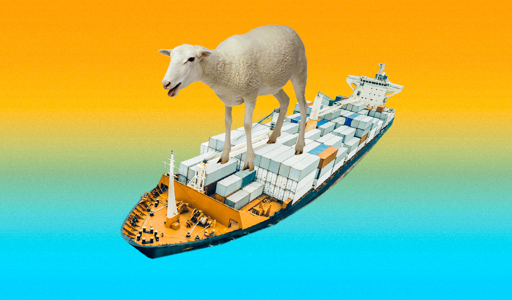 Ship или sheep? Сложный тест про английские слова, которые отличаются только долготой звука