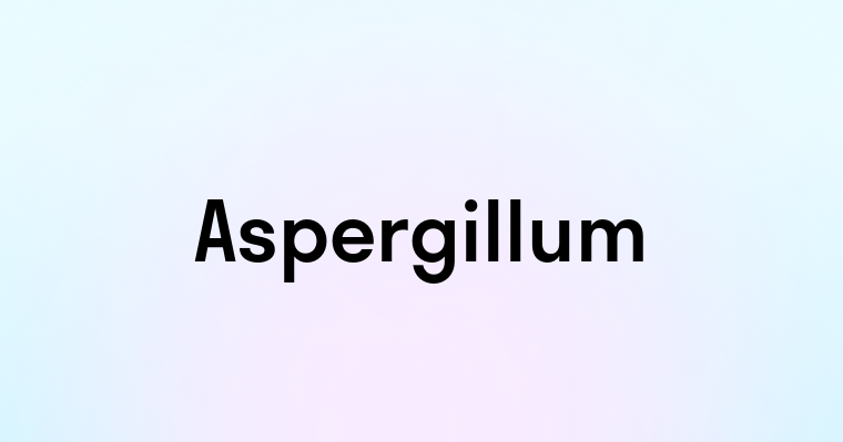 Aspergillum