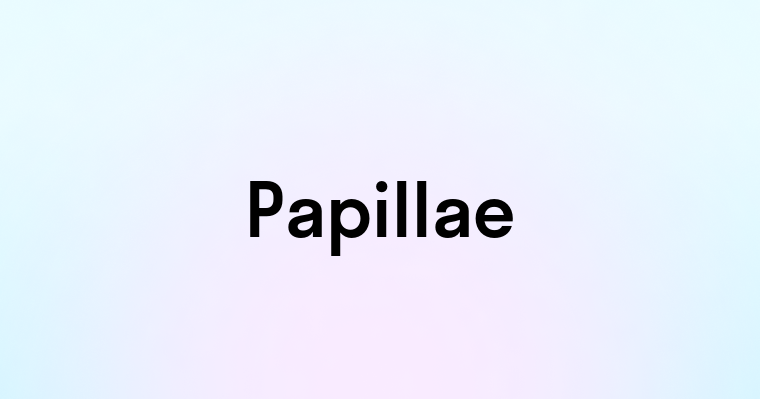 Papillae