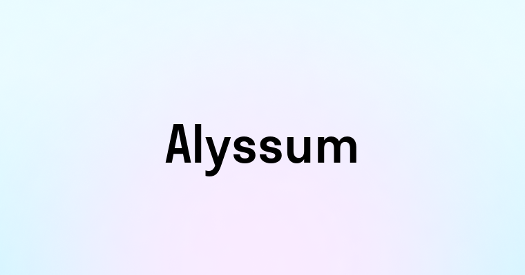 Alyssum