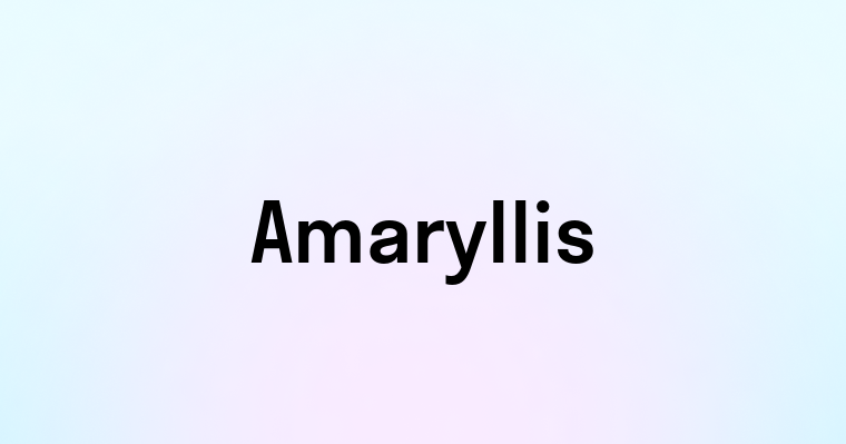 Amaryllis