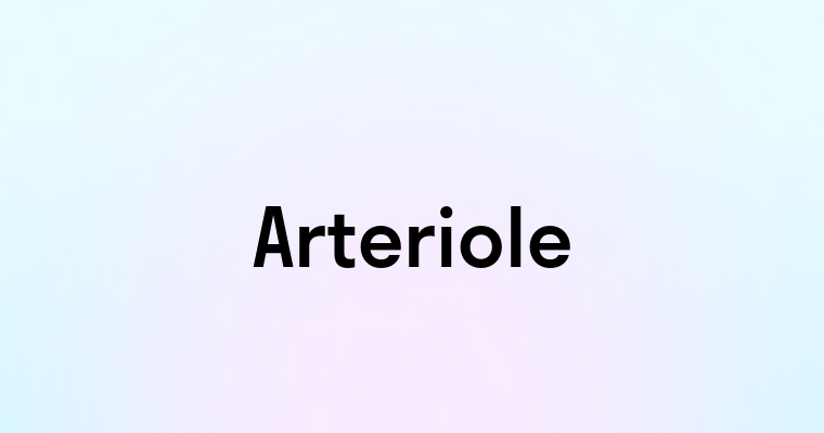 Arteriole