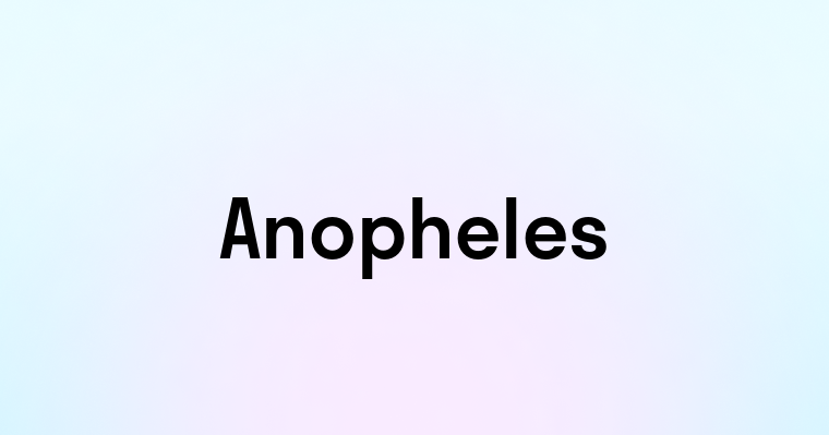 Anopheles