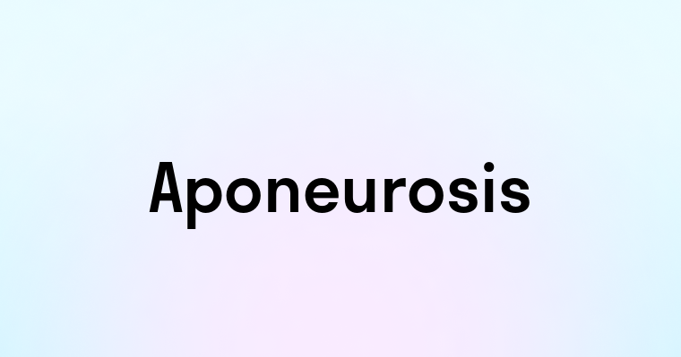 Aponeurosis