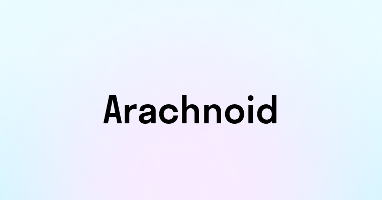 Arachnoid