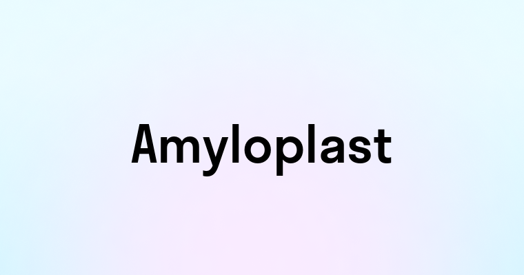 Amyloplast