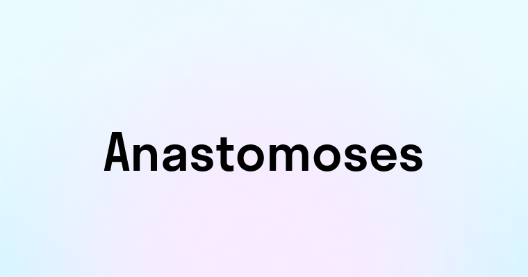 Anastomoses