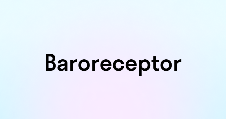 Baroreceptor