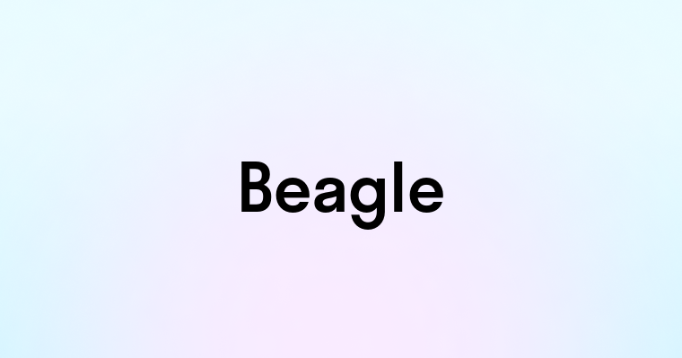 Beagle