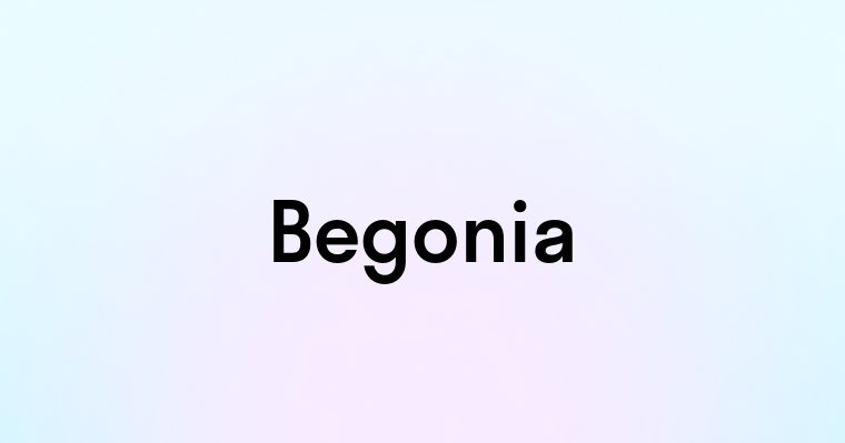 Begonia