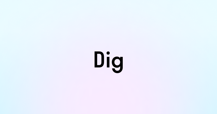 Dig