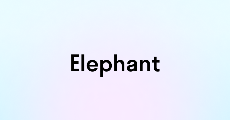 Elephant