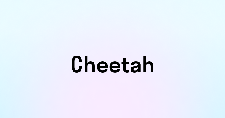 Cheetah