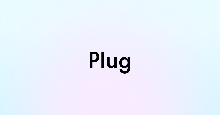 Plug