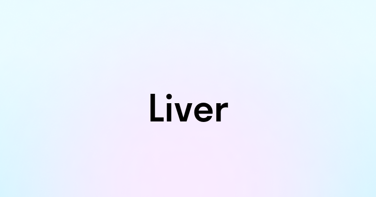 Liver