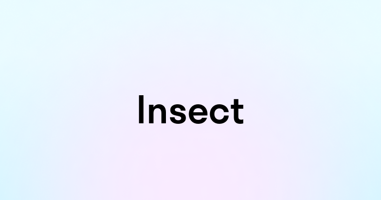 Insect