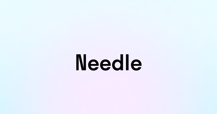 Needle