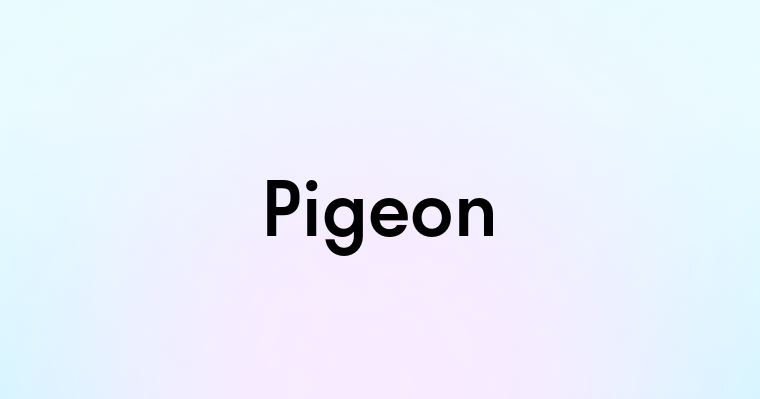 Pigeon