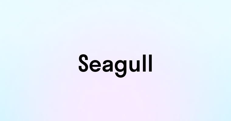 Seagull