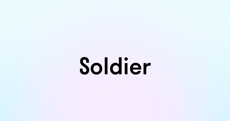 Soldier