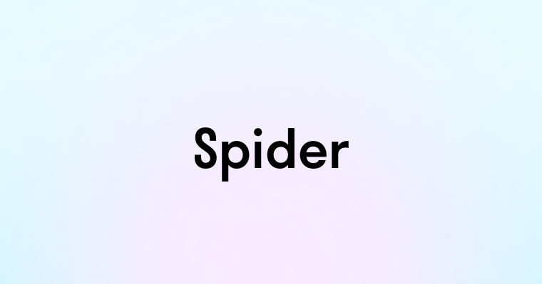 Spider