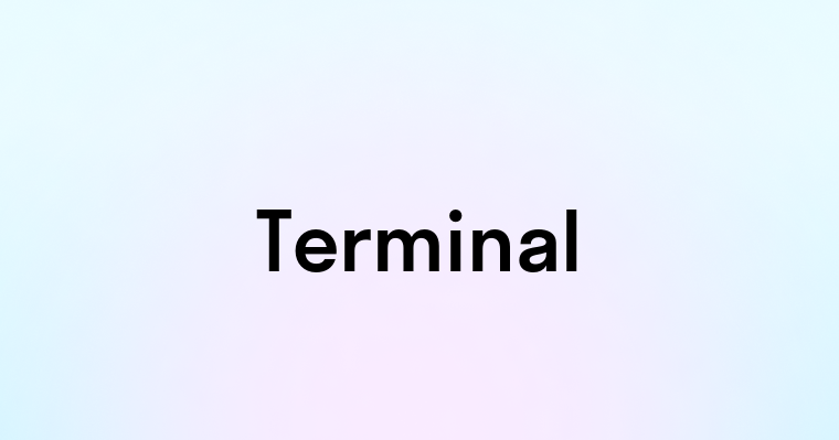 Terminal