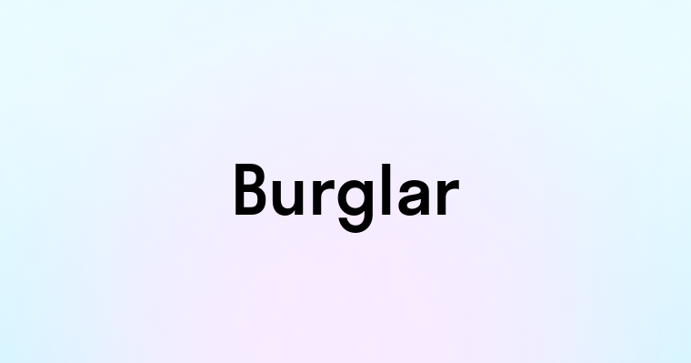 Burglar