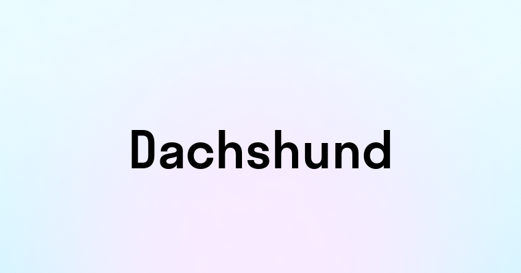 Dachshund