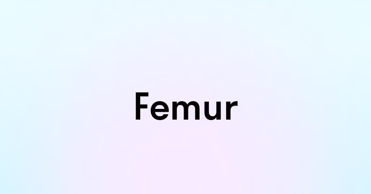 Femur