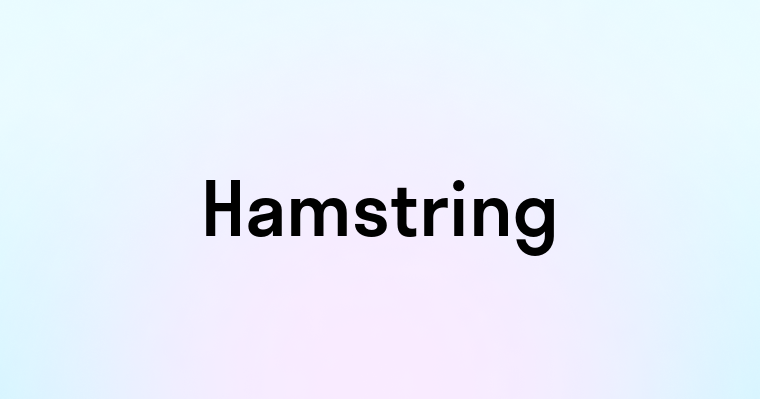 Hamstring