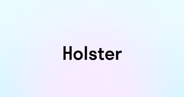 Holster