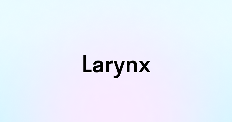 Larynx