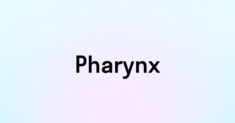 Pharynx