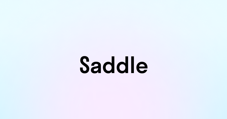 Saddle