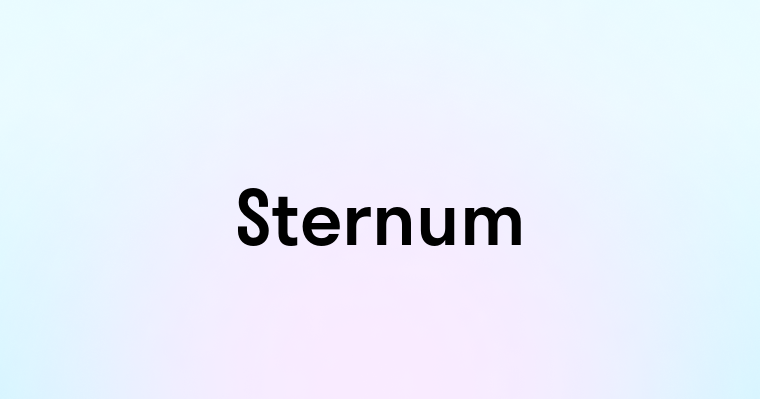 Sternum