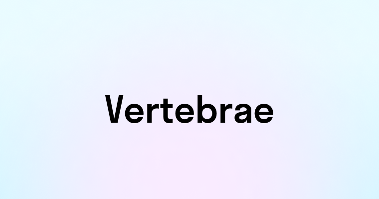 Vertebrae