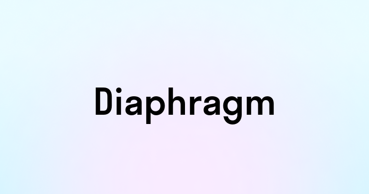 Diaphragm