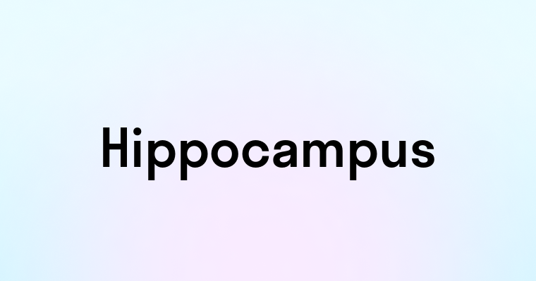 Hippocampus