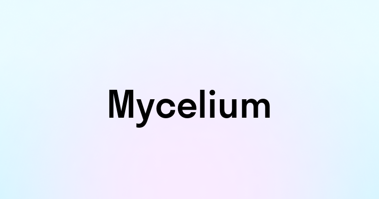 Mycelium