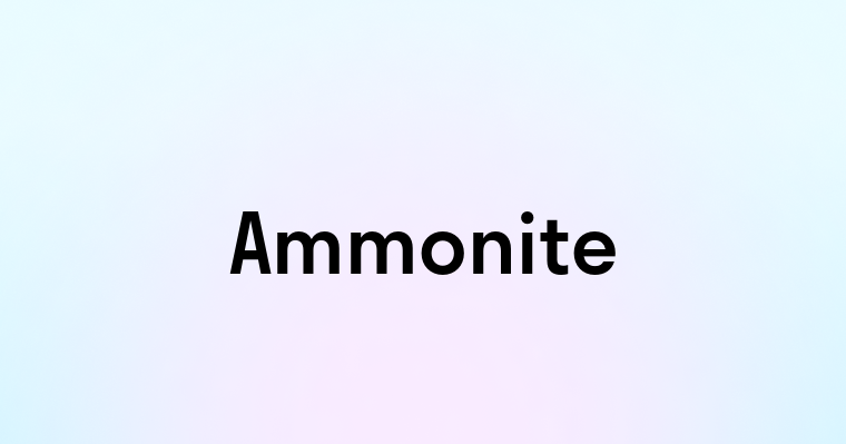 Ammonite