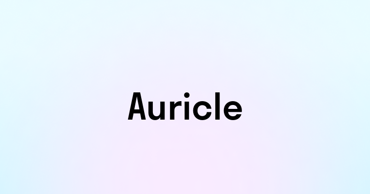 Auricle