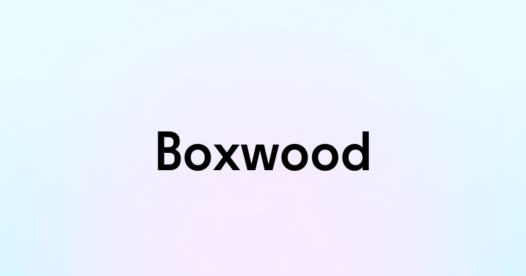 Boxwood