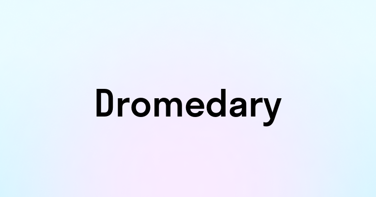 Dromedary