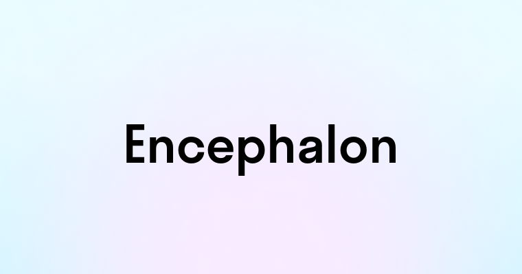 Encephalon